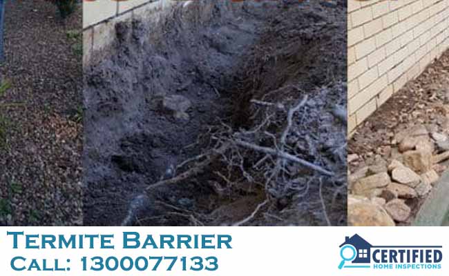Termite Barriers Upper Caboolture
