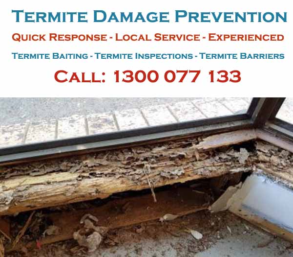 Termite Barriers Tallegalla