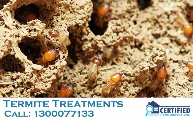 Termite Treatments D’Aguilar